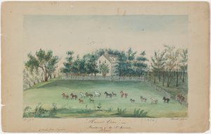 Pleasant Grove door Sarah Ann Lillie Hardinge